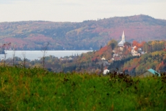 village-scaled